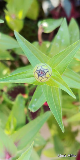 Grocery Store «The Fresh Market», reviews and photos, 1378 Hendersonville Rd H, Asheville, NC 28803, USA