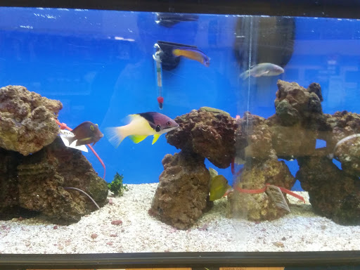 Pet Supply Store «Petco Animal Supplies», reviews and photos, 753 53rd Ave NE, Fridley, MN 55421, USA