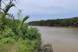 Langat River image