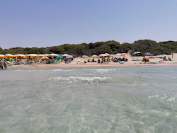 Spiaggia Padula Bianca'in fotoğrafı kısmen tatil bölgesi