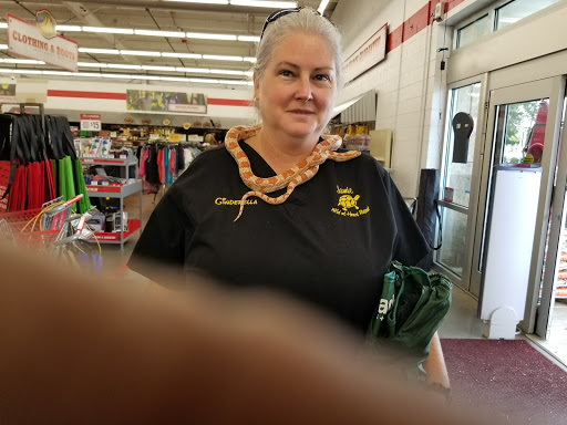 Home Improvement Store «Tractor Supply Co.», reviews and photos, 13440 US 49, Gulfport, MS 39503, USA