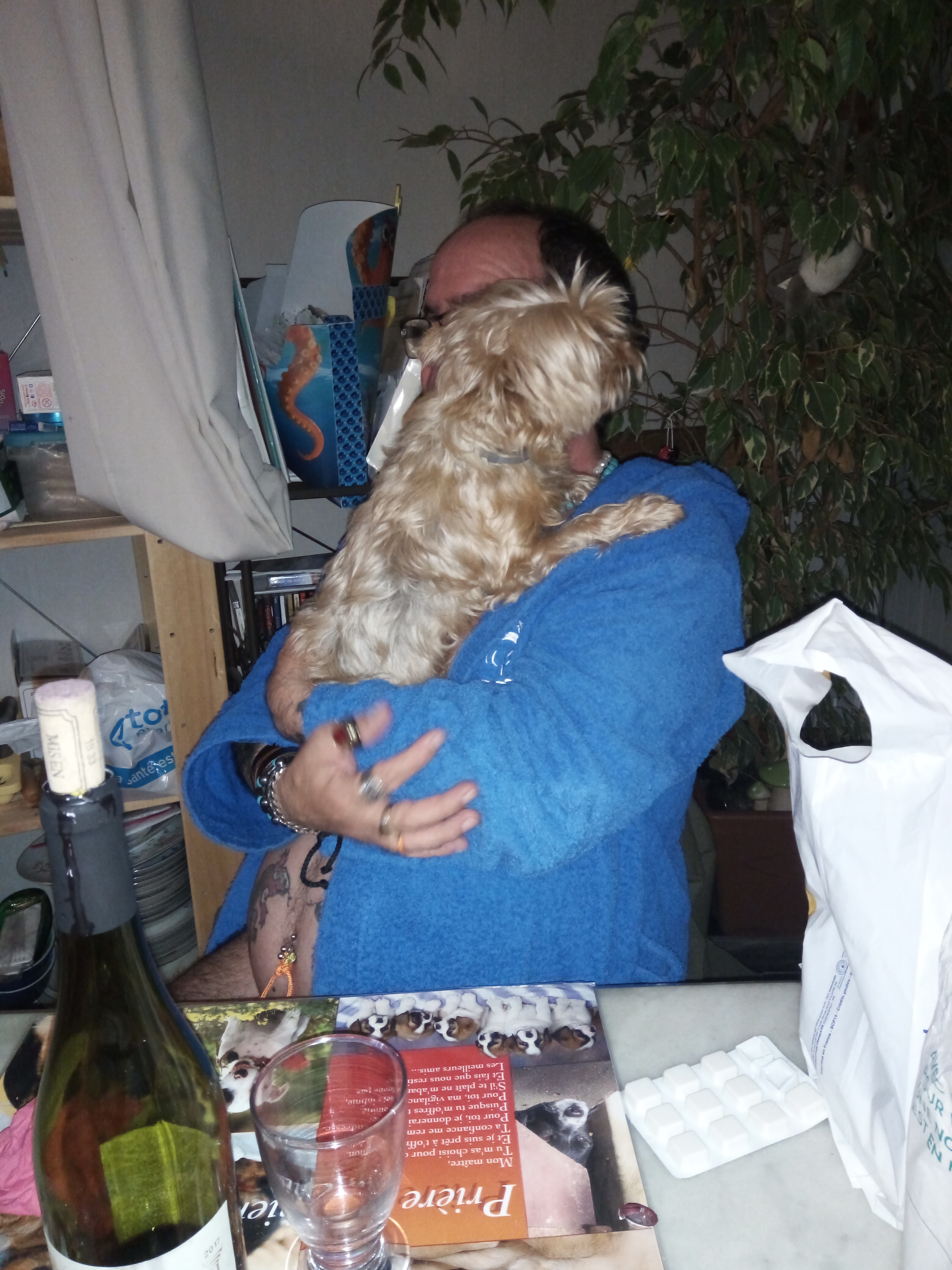 Photo n° 1 de l'avis de Maupilet.r fait le 21/01/2020 à 15:07