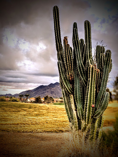 Golf Course «Seville Golf & Country Club», reviews and photos, 6683 S Clubhouse Dr, Gilbert, AZ 85298, USA