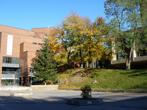 Bibliothèque des lettres et sciences humaines