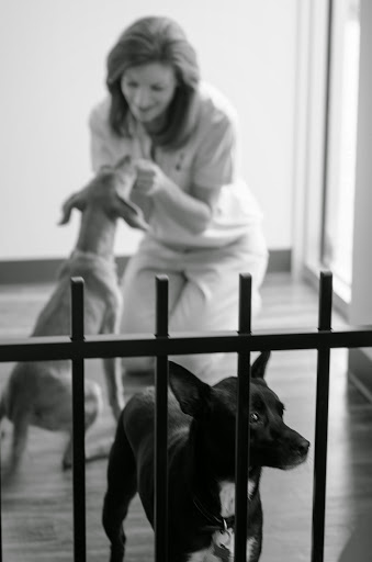 Pet Store «Nourish Pet Care», reviews and photos, 7951 Katy Fwy, Houston, TX 77024, USA