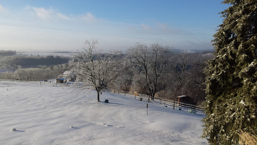 Horse Riding School «Horseng Farm LLC», reviews and photos, 6475 Warden Rd, New Tripoli, PA 18066, USA