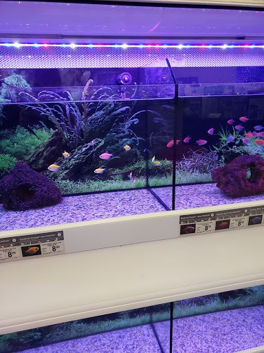 Pet Supply Store «Petco Animal Supplies», reviews and photos, 20825 I-30, Benton, AR 72015, USA