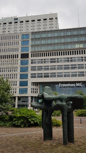 Private hospitals in Rotterdam