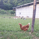 Photo n°2 de l'avis de Massimiliano.e fait le 30/06/2019 à 21:10 sur le  Agriturismo Ai Faris à Attimis