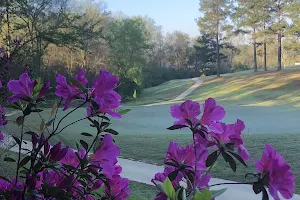 Pine Creek Golf Club image