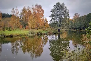 Vesnyanskiy Park image