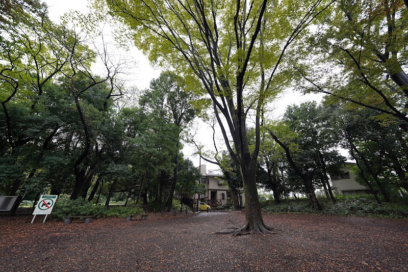 石神井公園 くつろぎ広場