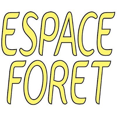 Espace Forêt - Exploitant Forestier Gironde & Landes à Salles