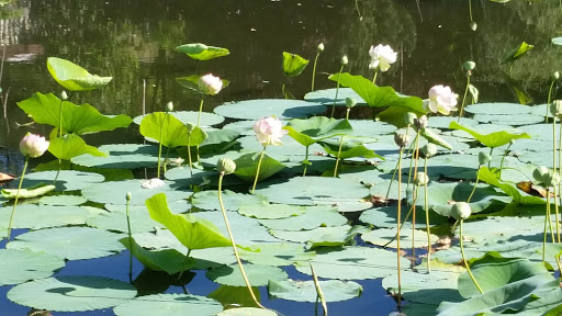 Winery «Villa Catalana Cellars», reviews and photos, 11900 S Criteser Rd, Oregon City, OR 97045, USA