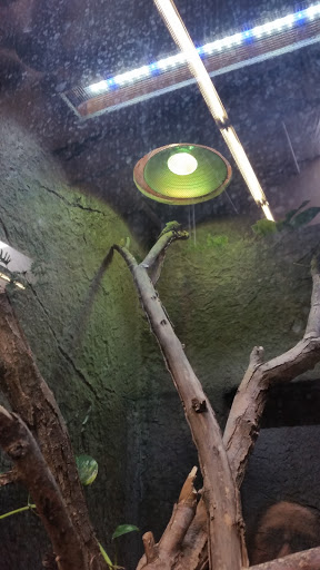 Pet Store «Lost Realms Pets», reviews and photos, 8059 N Cedar Ave, Fresno, CA 93720, USA