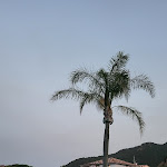 Photo n°9 de l'avis de VICEL.I fait le 22/07/2023 à 06:07 sur le  Perdepera Resort à Cardedu