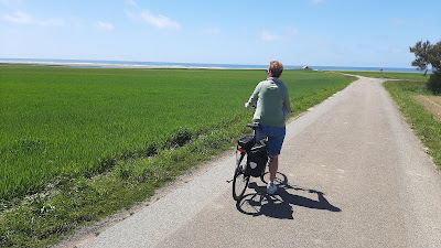 GITE PLOVAN 2018 à Plovan