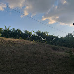 Photo n°9 de l'avis de Pezzi.p fait le 20/07/2020 à 06:17 sur le  Il Tempio del Moscato à Volpara