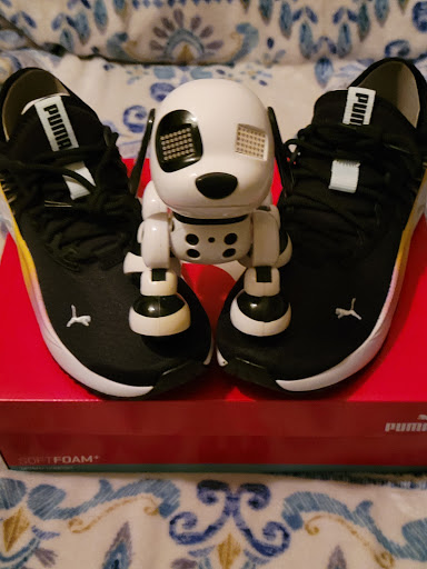 Shoe Store «Shoe Carnival», reviews and photos, 4835 W 77th St, Burbank, IL 60459, USA