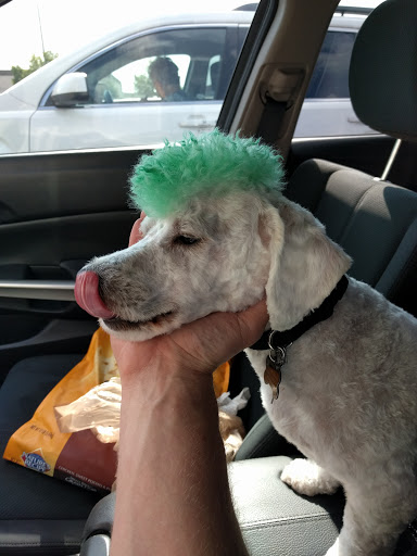 Pet Supply Store «PetSmart», reviews and photos, 533 S Tracy St, Wichita, KS 67209, USA