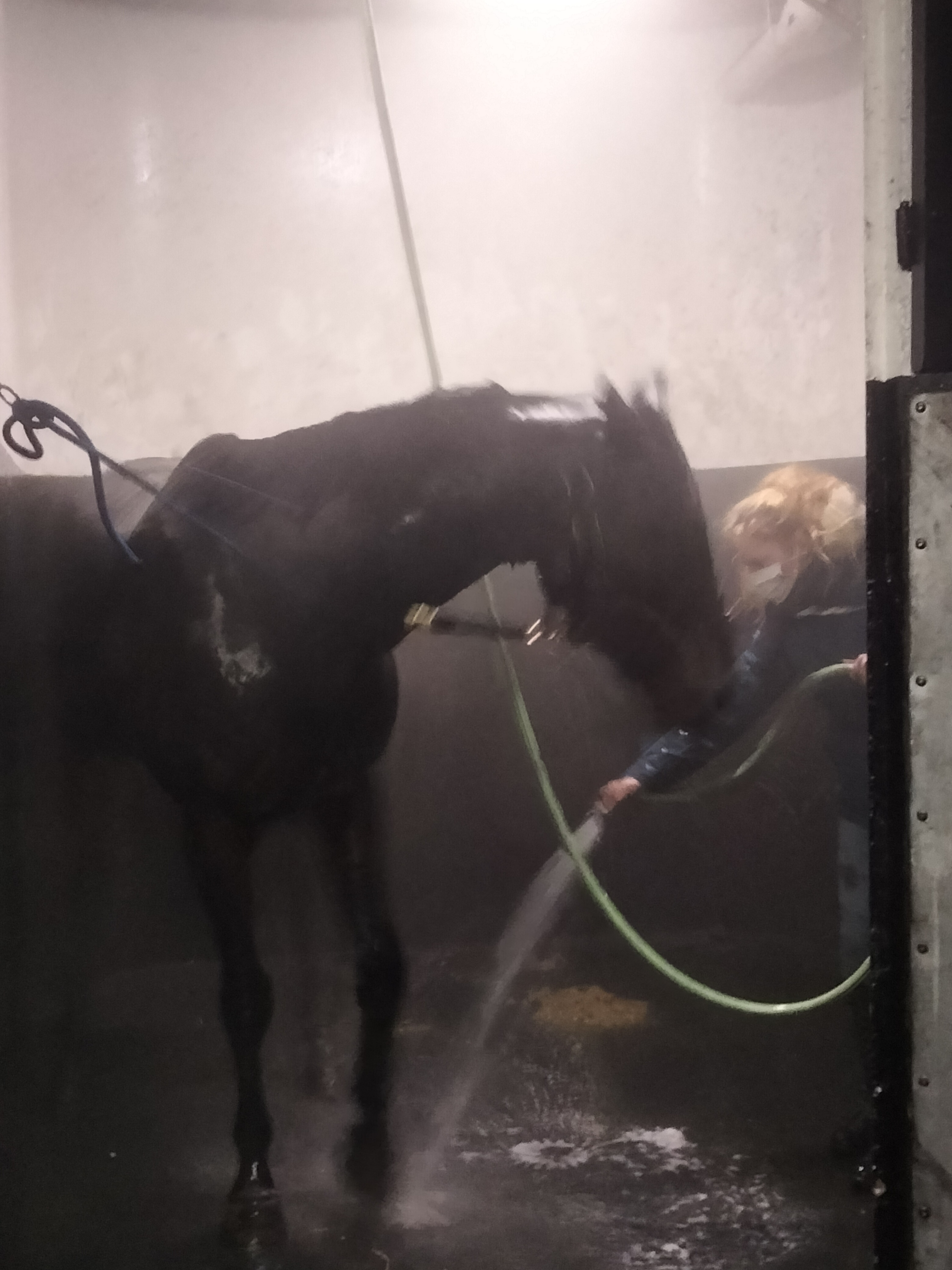 Photo n° 9 de l'avis de Rabeb.h fait le 16/12/2021 à 16:50