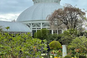 Enid A. Haupt Conservatory, NYBG image
