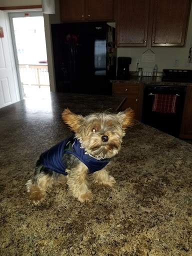 Pet Supply Store «Pet Supplies Plus», reviews and photos, 713 Brandilynn Blvd, Cedar Falls, IA 50613, USA