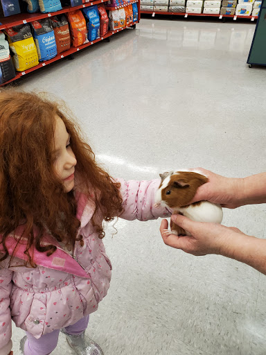 Pet Supply Store «Petco Animal Supplies», reviews and photos, 200 McMahan Blvd, Marion, OH 43302, USA
