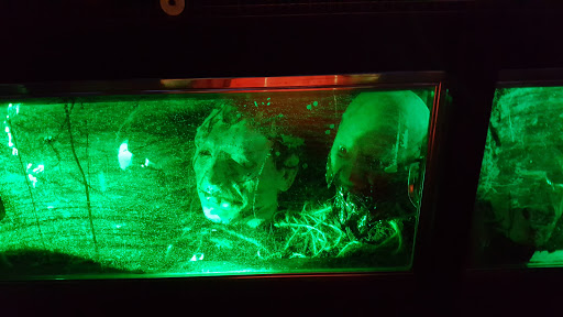 Amusement Center «Playland», reviews and photos, 5290 S Dort Hwy, Flint, MI 48507, USA