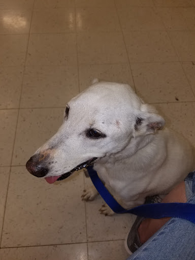 Pet Supply Store «PetSmart», reviews and photos, 1462 Jeffreys Rd, Rocky Mount, NC 27804, USA