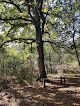 Bois du Fouilloux Saint-Martin-du-Fouilloux