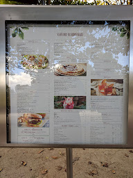 Photo n°15 de Café des Marronniers à Paris ()