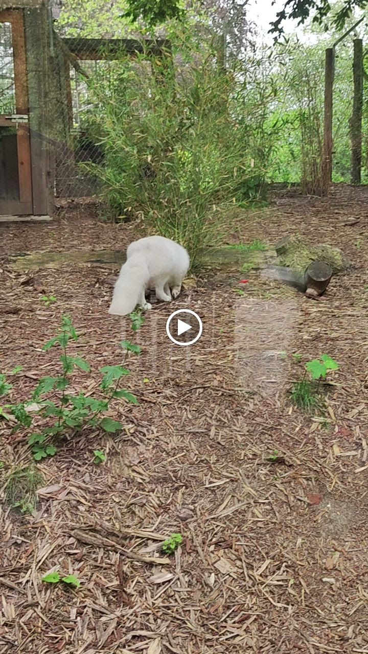 Photo n° 6 de l'avis de Romin. fait le 24/05/2023 à 12:29