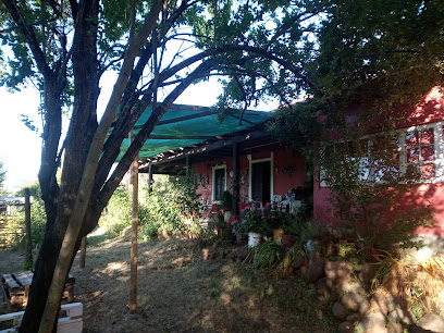 Vista Hermosa Rari