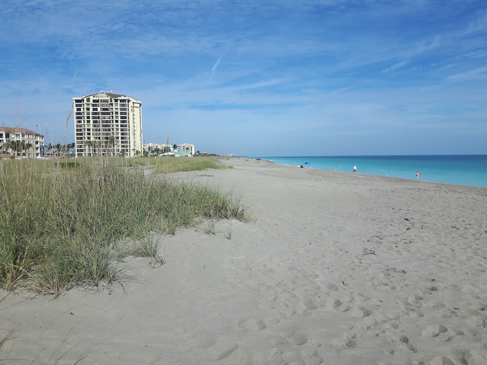 Fotografija Blue Heron beach z svetel pesek površino