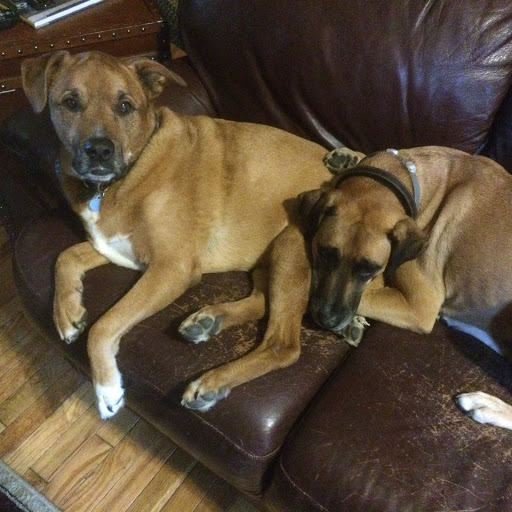 Gift Shop «Impressions of Saratoga», reviews and photos, 368 Broadway, Saratoga Springs, NY 12866, USA