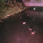 Photo n° 3 de l'avis de Claude.u fait le 30/08/2022 à 07:16 pour Hôtel de la Plage Wissant à Wissant