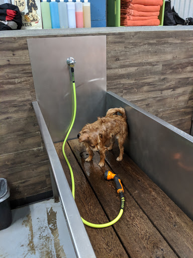 Pet Store «The Pet Works», reviews and photos, 407 4th Ave E, Olympia, WA 98501, USA