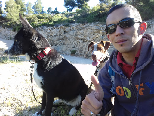 Cyril Naeily educateur canin à domicile