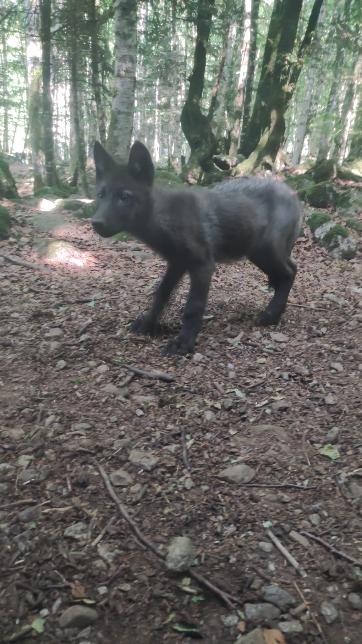 Photo n° 3 de l'avis de Nenette.K fait le 24/07/2022 à 18:58