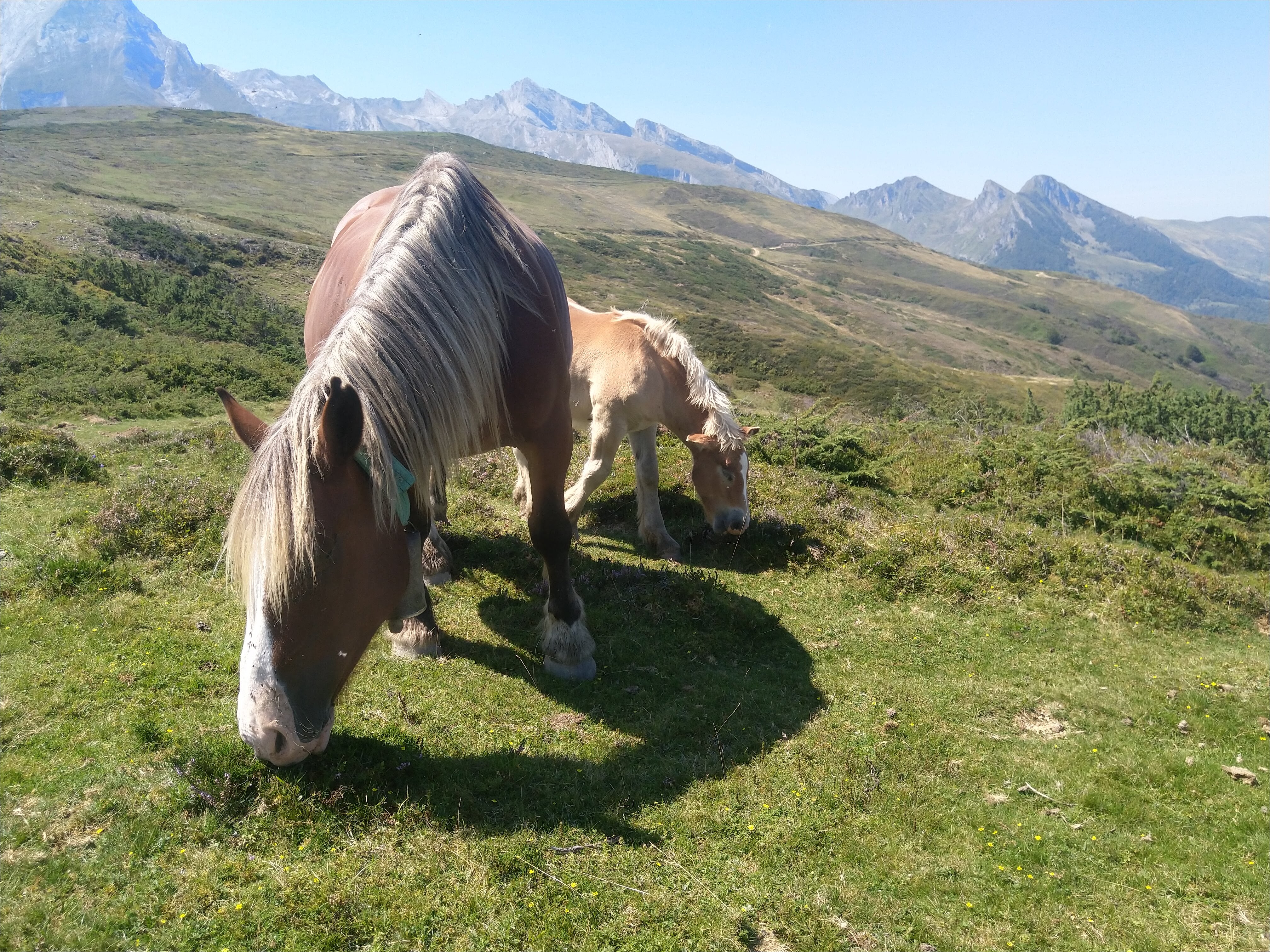 Photo n° 1 de l'avis de laurent.a fait le 28/08/2023 à 11:23