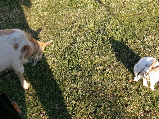 Golf Club «Riverfront Golf Club», reviews and photos, 5200 River Club Dr, Suffolk, VA 23435, USA