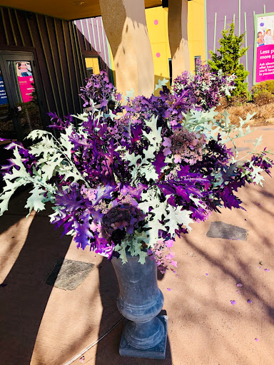 Non-Profit Organization «Stepping Stones Museum for Children», reviews and photos, 303 West Ave, Norwalk, CT 06850, USA