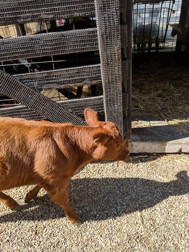 Park «Bever Park», reviews and photos, 2700 Bever Ave SE, Cedar Rapids, IA 52403, USA