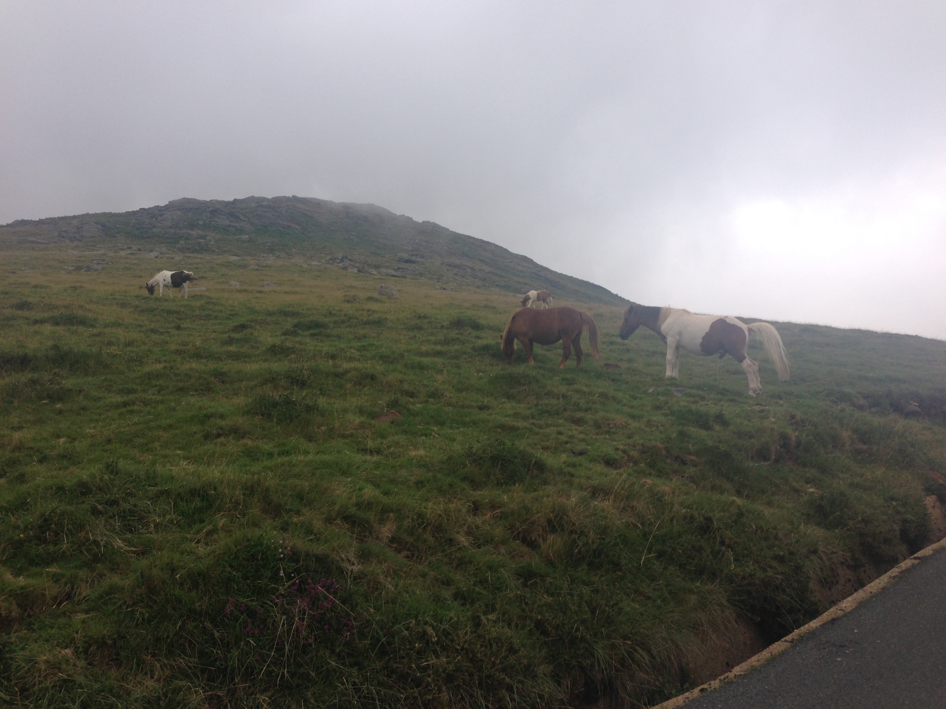 Photo n° 4 de l'avis de Vero.. fait le 15/08/2018 à 09:09