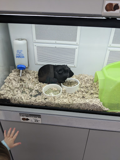 Pet Supply Store «Petco Animal Supplies», reviews and photos, 6181 Old Dobbin Ln #800, Columbia, MD 21045, USA