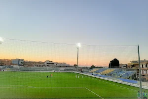 Stadio Domenico Monterisi image