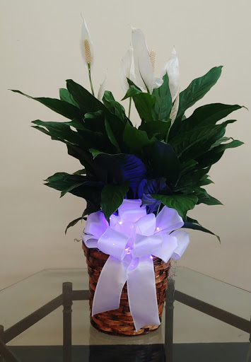 Florist «Just Because Floral Shop», reviews and photos, 614 McCullough Ave, San Antonio, TX 78215, USA