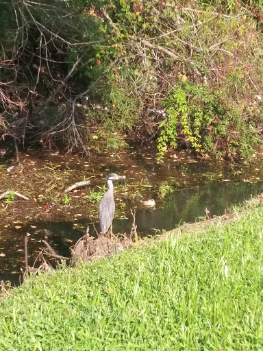 Park «Henry J. Klutho Park», reviews and photos, 204 W 3rd St, Jacksonville, FL 32206, USA