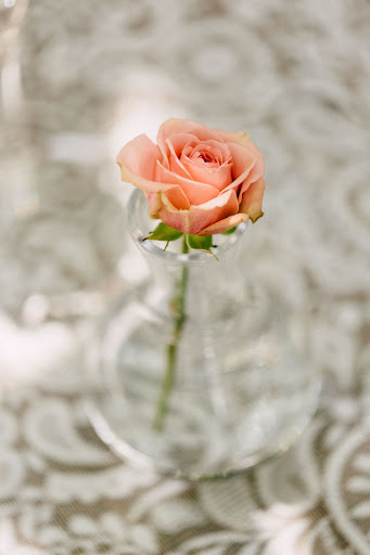 Tourist Attraction «Walton House», reviews and photos, 28501 SW 187th Ave, Homestead, FL 33030, USA